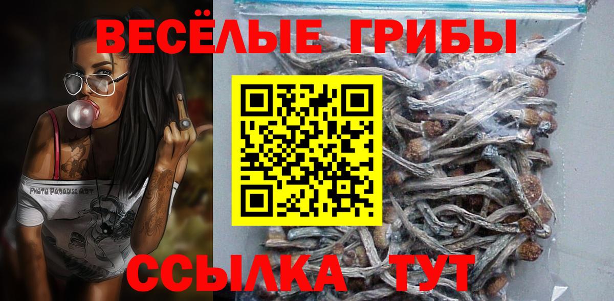 Псилоцибиновые грибы ЛСД Грязи