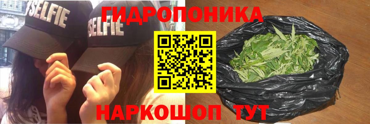 Марихуана план  Вход с VPN  Грязи  Бошки марихуана планчик  Каннабис Amnesia 